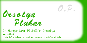 orsolya pluhar business card